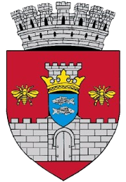 Primăria Vaslui