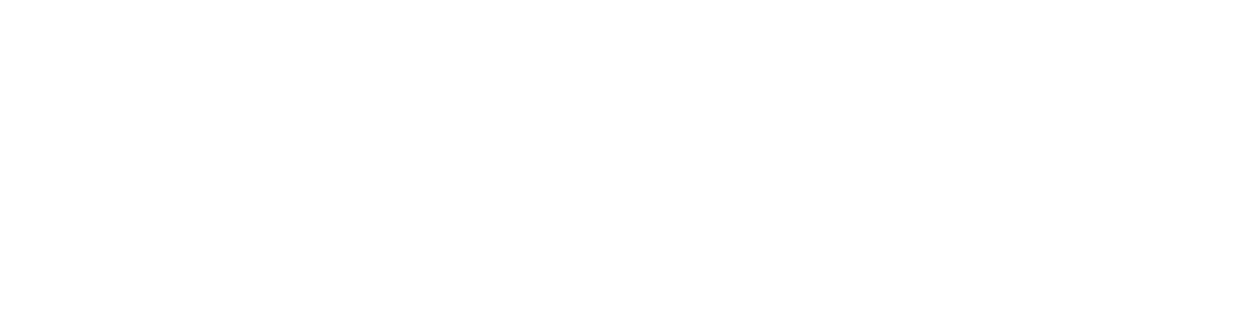 SelfPay