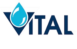 vital baia mare